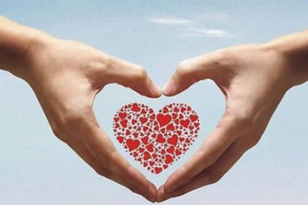 6c0adc8141.jpg 123752548.jpg