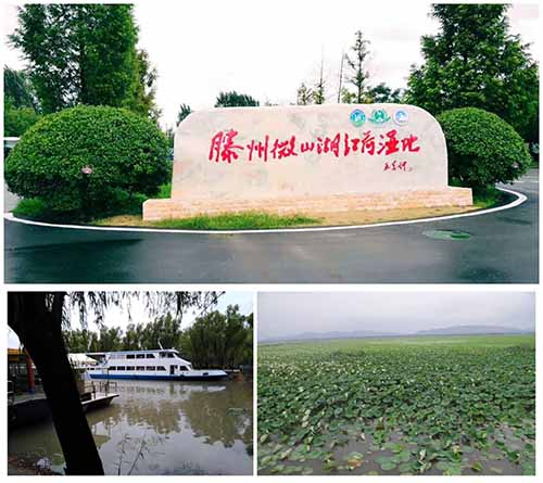风景如画的微山湖红荷湿地景区
